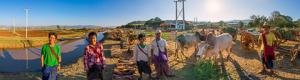 Mercado y estupas en Birmania Taung Tho realidad virtual